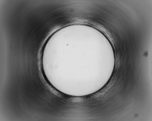 X0000103401235200810241004