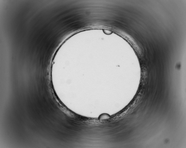 X0000103401236200810241004