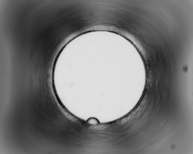 X0000103401237200810241004