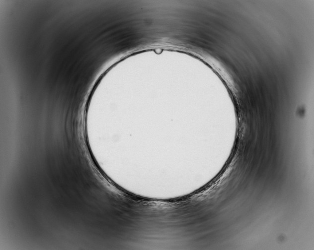 X0000103401238200810241004