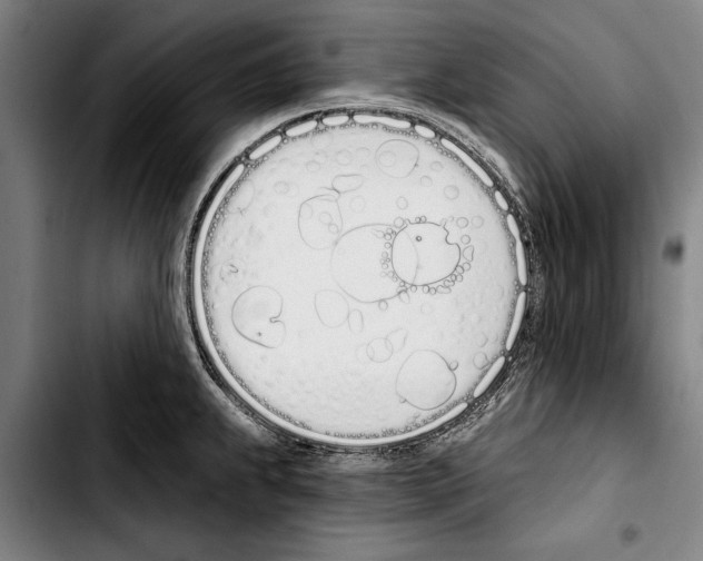 X0000103401239200810241004