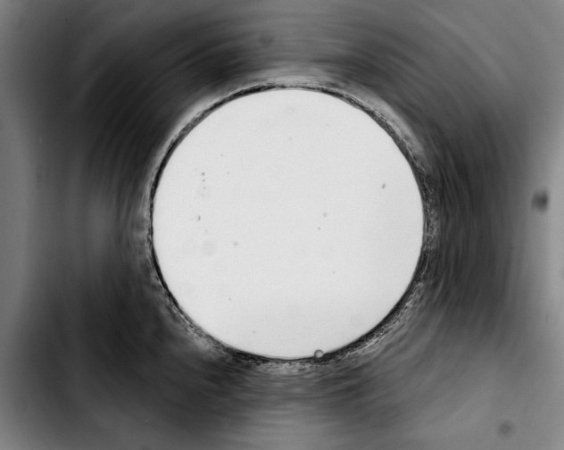 X0000103401240200810241004