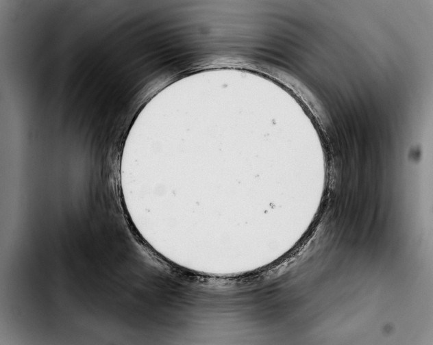 X0000103401241200810241004