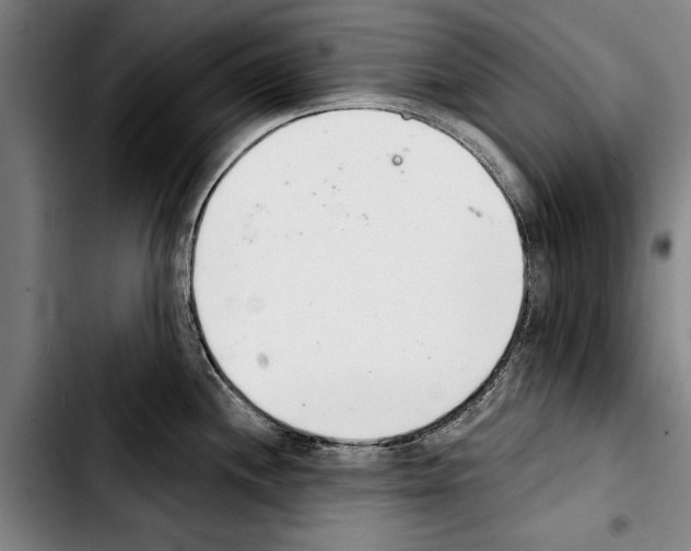 X0000103401244200810241004