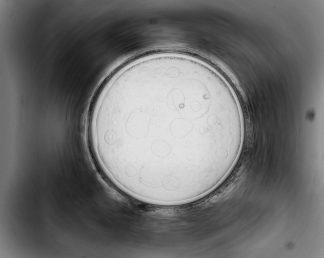 X0000103401245200810241004