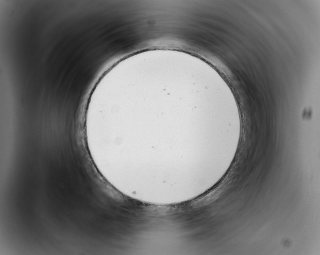 X0000103401248200810241004