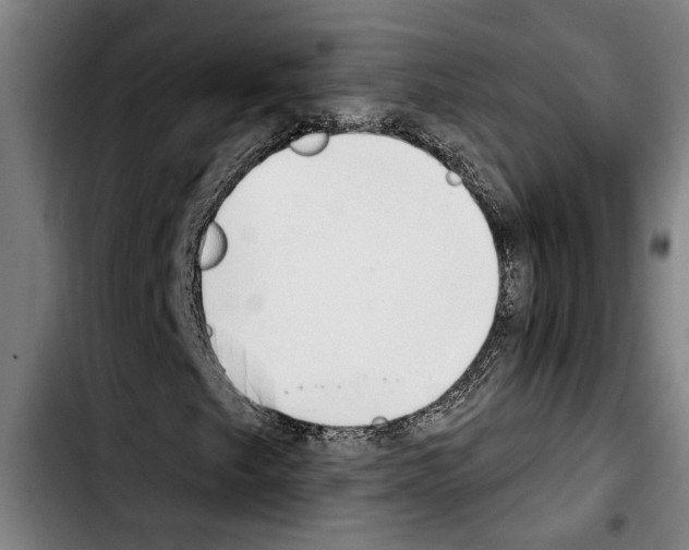 X0000103401249200810241003