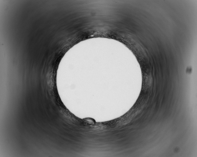 X0000103401250200810241003