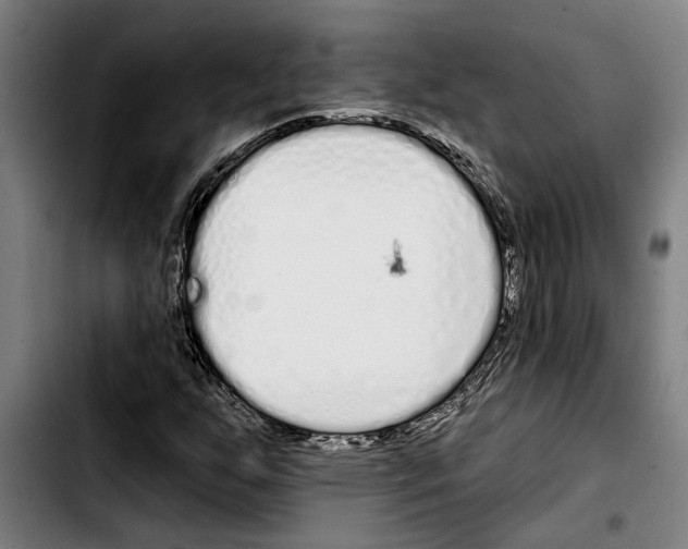 X0000103401255200810241003