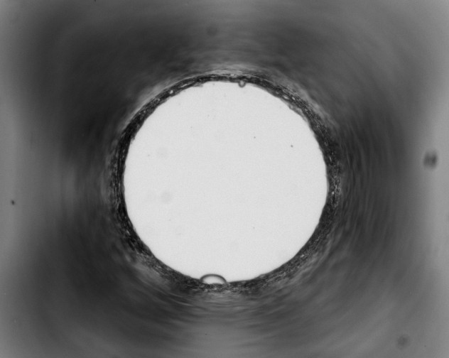 X0000103401256200810241003