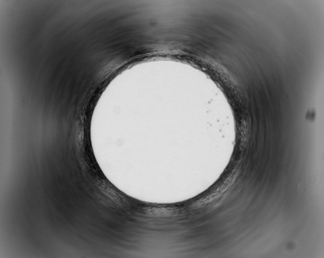 X0000103401257200810241003