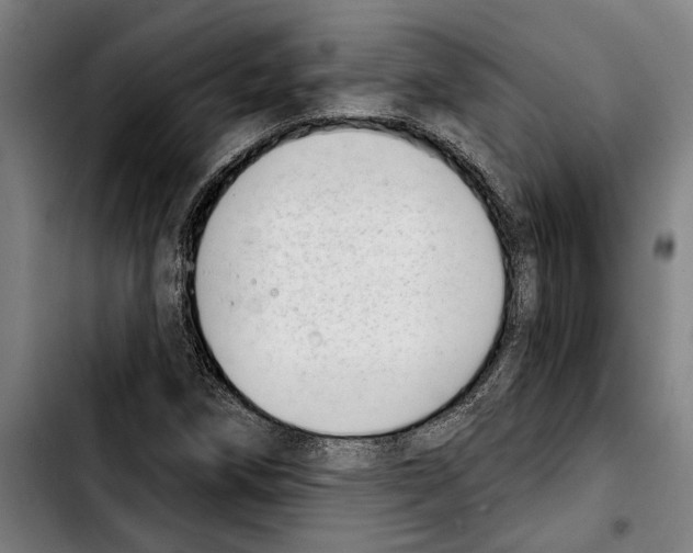 X0000103401258200810241003