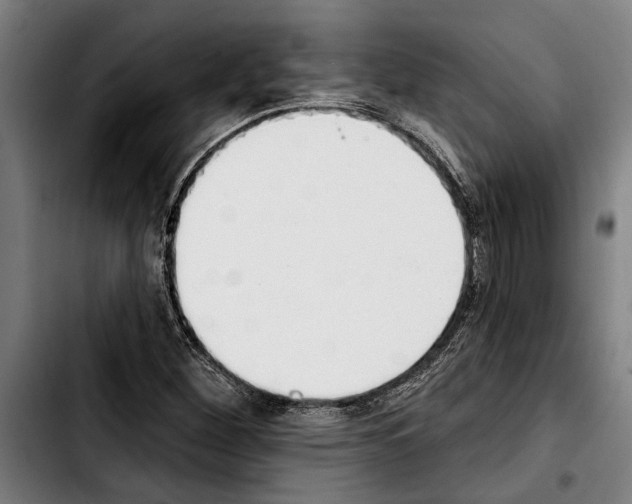 X0000103401260200810241003