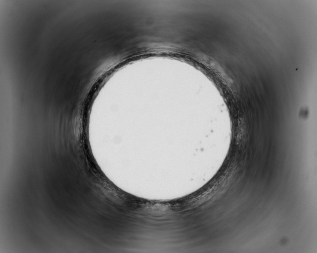 X0000103401261200810241003