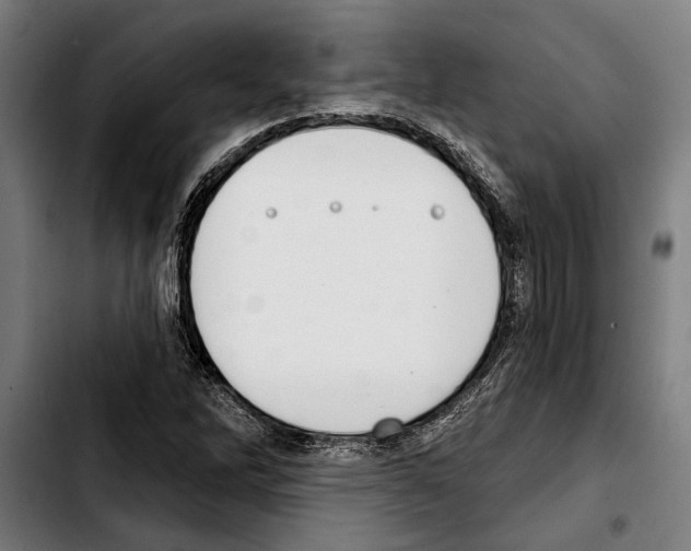 X0000103401262200810241003