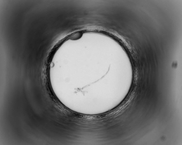 X0000103401263200810241003