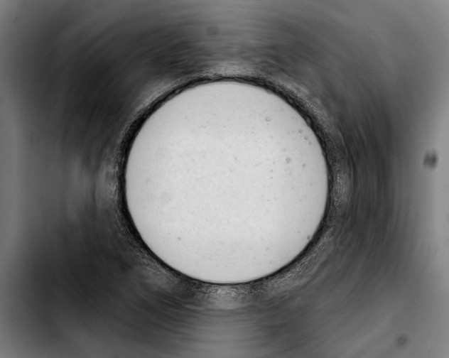 X0000103401266200810241003