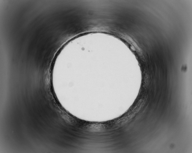 X0000103401268200810241003