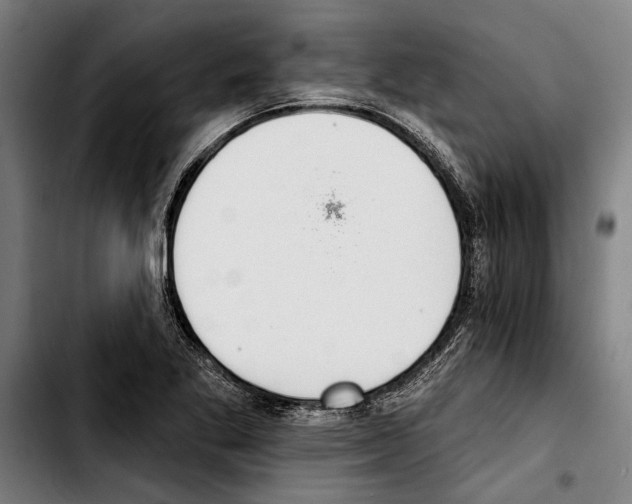 X0000103401269200810241003