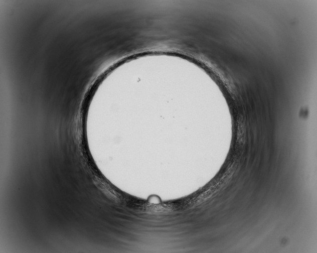 X0000103401270200810241003