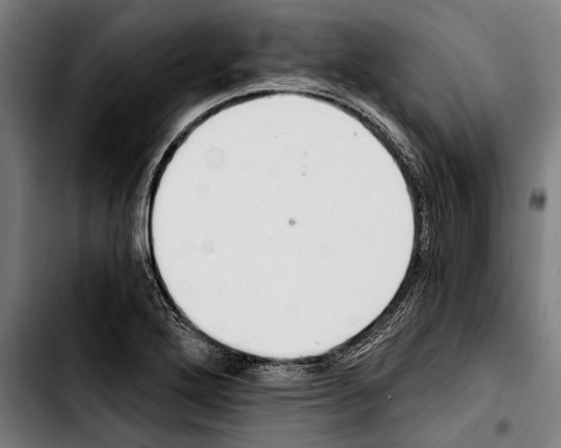 X0000103401272200810241003