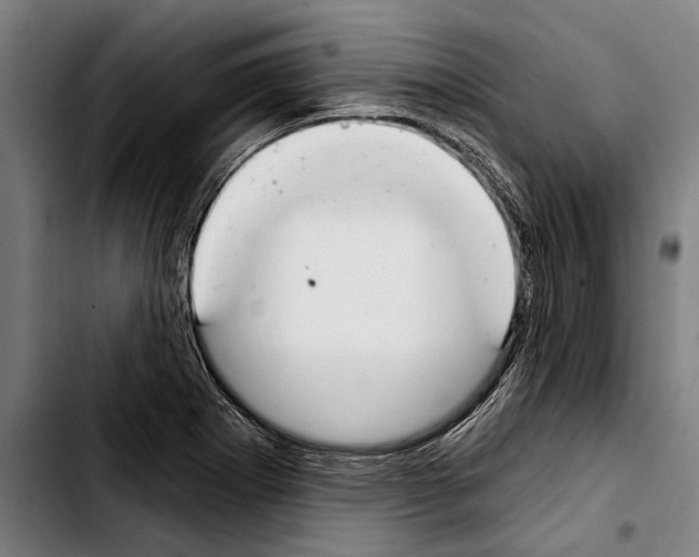 X0000103401273200810241003