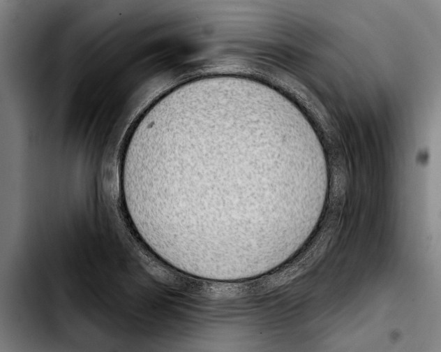 X0000103401274200810241003