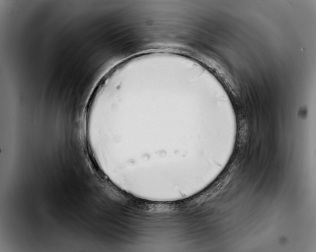 X0000103401275200810241003