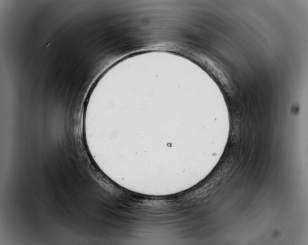 X0000103401276200810241003