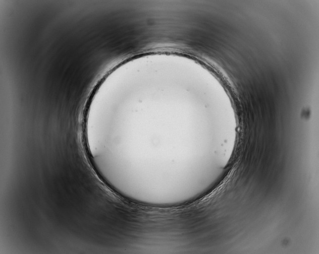 X0000103401277200810241003