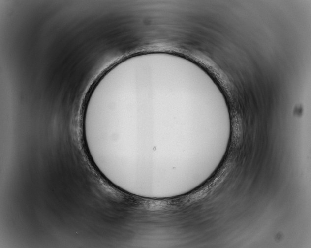 X0000103401278200810241003