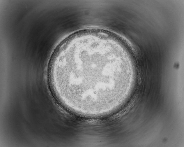 X0000103401279200810241003