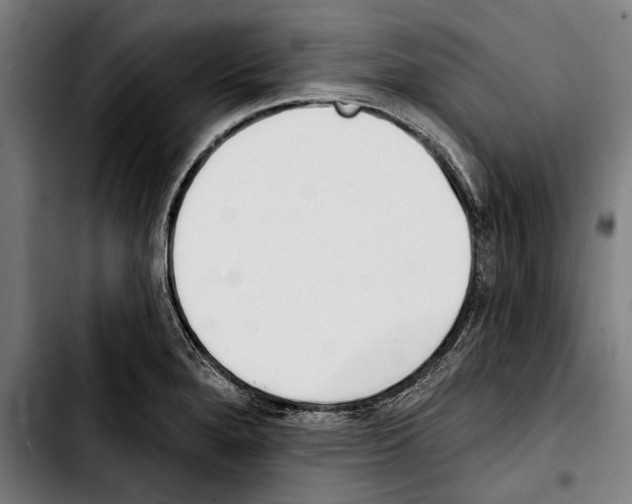 X0000103401280200810241003