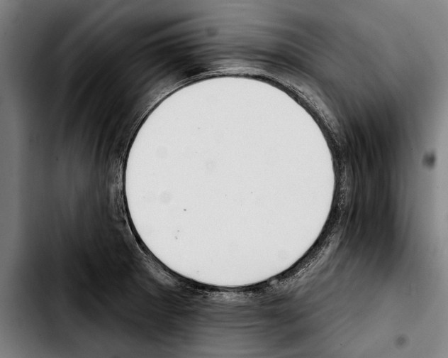 X0000103401281200810241003