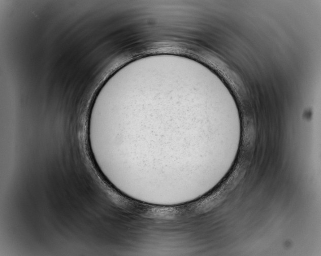 X0000103401282200810241003