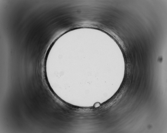 X0000103401285200810241003