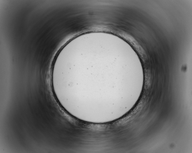 X0000103401286200810241003