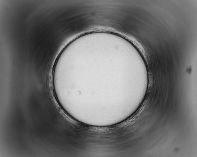 X0000103401287200810241003