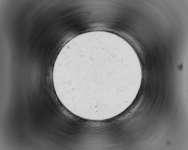 X0000103401289200810241003