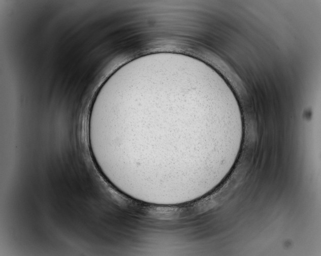 X0000103401290200810241003