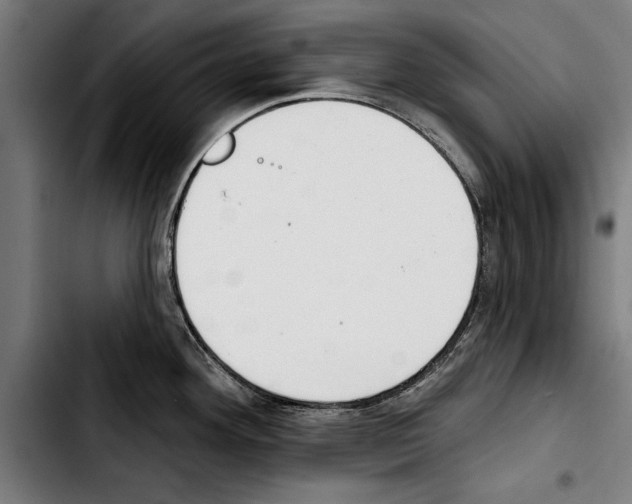 X0000103401292200810241003