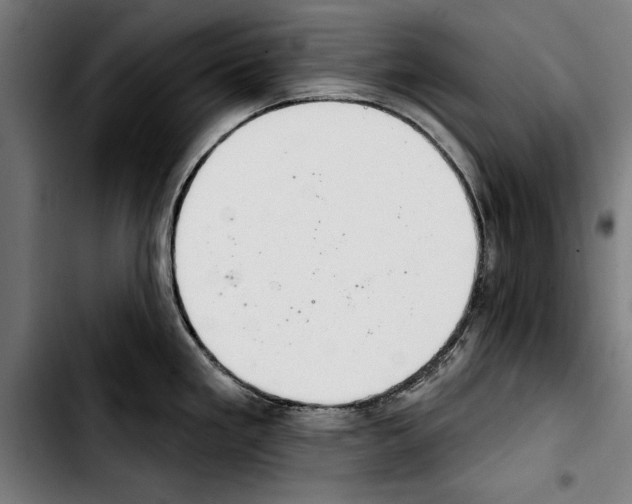 X0000103401293200810241002