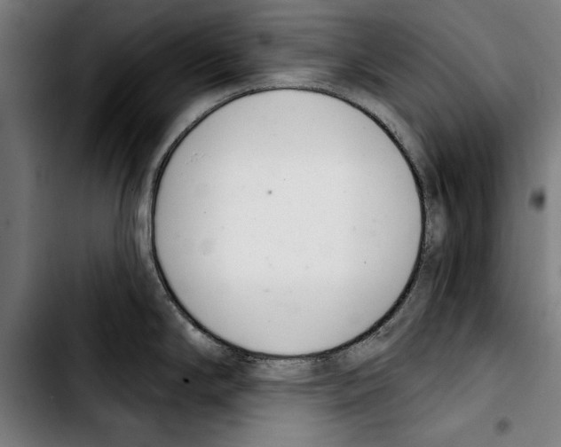 X0000103401294200810241002