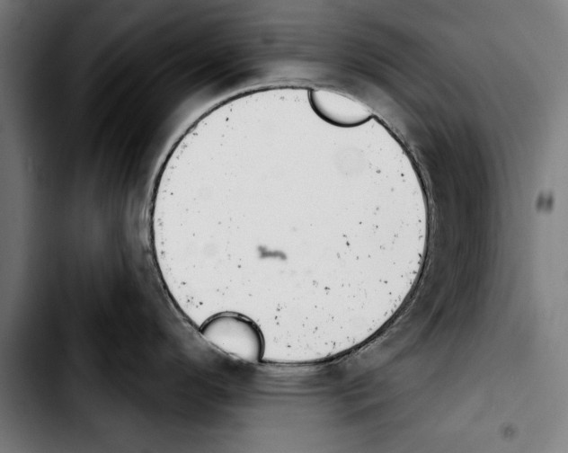 X0000103401296200810241002