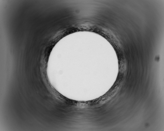 X0000103401297200810241002