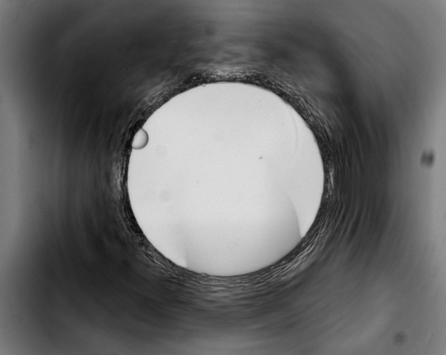 X0000103401300200810241002