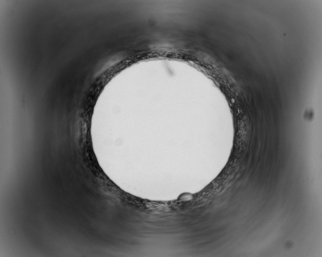 X0000103401302200810241002