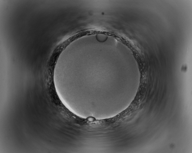 X0000103401303200810241002