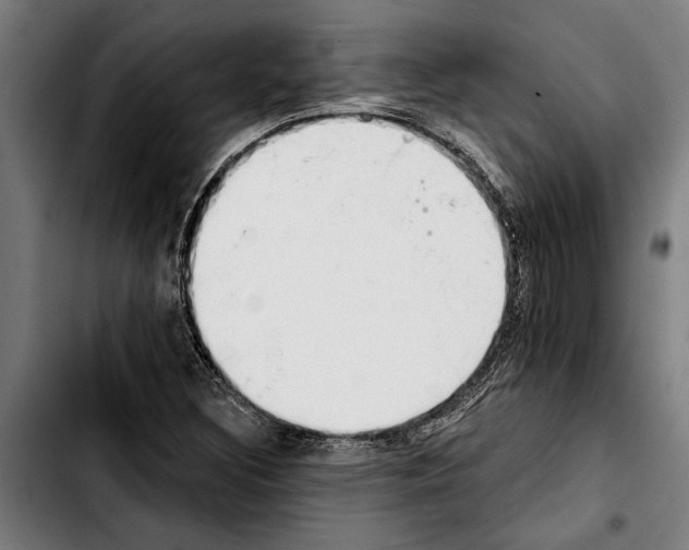 X0000103401308200810241002