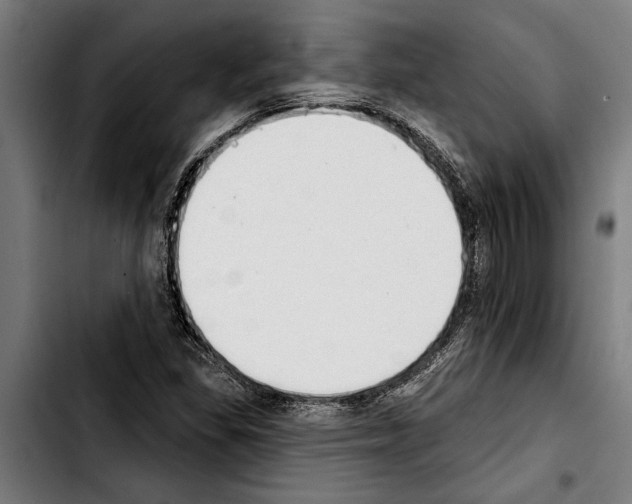 X0000103401309200810241002